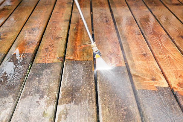 Animal Enclosure Cleaning in Reading, OH